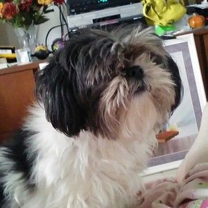 Meet your Posher, Judy k